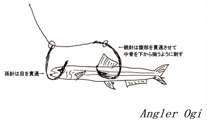 タチウオのウキ釣り 徹底解説 初心者にもオススメな仕掛けは Angler S Sound