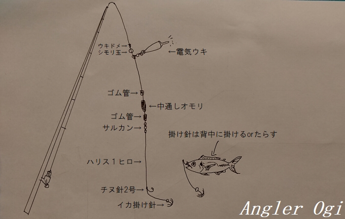 アオリイカのウキ釣り、徹底解説！初心者にオススメな仕掛けは？ Angler's Sound