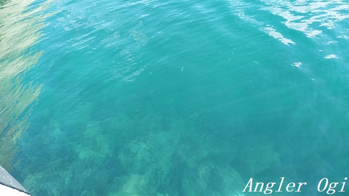 メバルのエビ撒き釣りのコツ 仕掛けやポイントなどを徹底解説 Angler S Sound