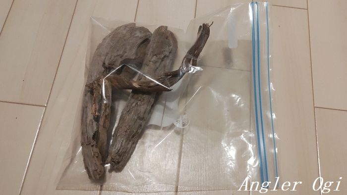 川で採集した流木のアク抜きを行って水槽へ導入 Angler S Sound