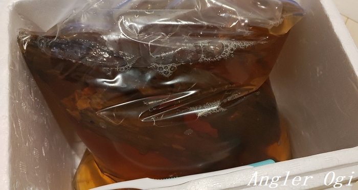 川で採集した流木のアク抜きを行って水槽へ導入 Angler S Sound