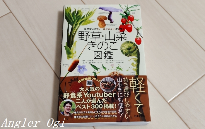 渓流釣りのお供に野草&山菜採り！気軽に採取出来る種を紹介 